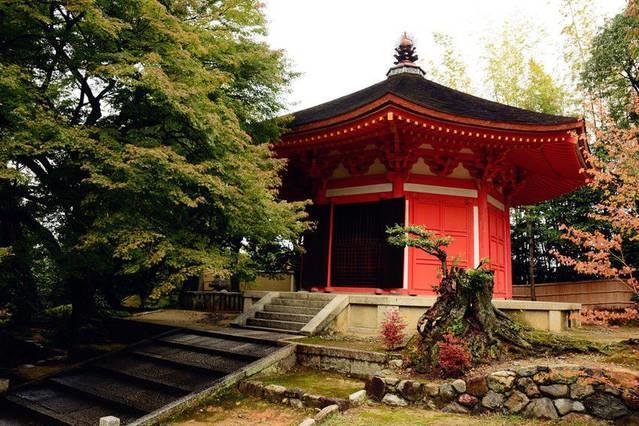 Art Stay In Tofukuji Kyōto Esterno foto